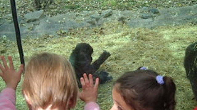 Bad blogger…no entry!